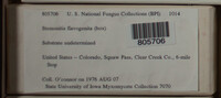 Image Associated With the Occurence